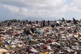 Đà Nẵng nguy cơ quá tải rác y tế nguy hại 