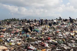 Đà Nẵng nguy cơ quá tải rác y tế nguy hại 