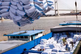 Thủ tướng nhắc nhở một số bộ, ngành về việc tham mưu xuất khẩu gạo