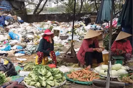 Cảnh báo dịch hạch xuất hiện