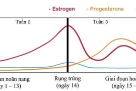 Sẩy thai do hoàng thể ngắn và yếu