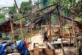 Thừa Thiên Huế: Khai thác vàng trái phép giữa lõi rừng phòng hộ