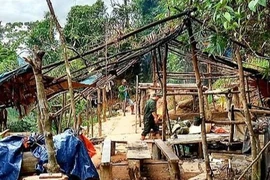 Thừa Thiên Huế: Khai thác vàng trái phép giữa lõi rừng phòng hộ