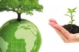 Báo cáo đánh giá tác động môi trường: Cần quy định cụ thể về công khai thông tin