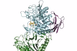 Enzyme vi khuẩn mới có thể tạo ra polymer sinh học sử dụng trong y tế