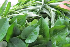 Mắc sỏi thận giảm ăn chua