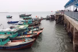 Bão số 3 sắp đổ bộ, 307 du khách vẫn “mắc kẹt” trên đảo Cô Tô