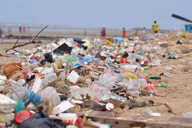 Từ chối túi nilon để giữ cho biển đẹp