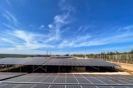 Hơn 40 doanh nghiệp điện mặt trời ở Gia Lai lo phá sản, không trả được nợ