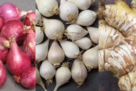 Mùa đông nên ăn gừng, hành, tỏi