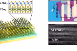 Cấu trúc của thiết bị điện tử bán dẫn hai chiều, thực hiện trong nghiên cứu (bên trái) và ảnh thiết bị chụp qua kính hiển vi điện tử (bên phải). Ảnh: Viện Khoa học và Công nghệ Hàn Quốc (KIST)