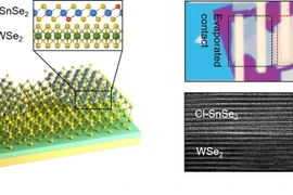 Cấu trúc của thiết bị điện tử bán dẫn hai chiều, thực hiện trong nghiên cứu (bên trái) và ảnh thiết bị chụp qua kính hiển vi điện tử (bên phải). Ảnh: Viện Khoa học và Công nghệ Hàn Quốc (KIST)
