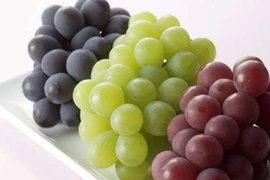 8 thực phẩm gây nguy hiểm, ngộ độc nếu đưa vào lò vi sóng