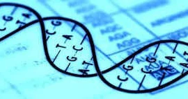 Nhiều sinh vật khác nhau có gene chung