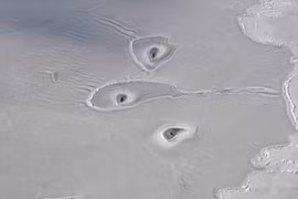 Những lỗ hổng bí ẩn ở băng Nam Cực đến NASA cũng bó tay