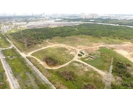 Nhiều sai phạm nghiêm trọng việc cổ phần hóa tại Công ty IPC