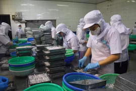 Lấy ý kiến về lương tối thiểu vùng tăng từ 150.000 - 240.000 đồng/tháng