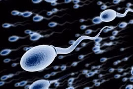 Độ tuổi làm bố để có những đứa con khỏe mạnh 