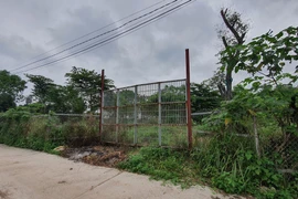 Giá đất 2 bờ sông Hồng "bứt tốc" tăng 10 lần đón đầu quy hoạch đô thị mới