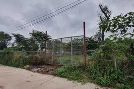 Giá đất 2 bờ sông Hồng "bứt tốc" tăng 10 lần đón đầu quy hoạch đô thị mới