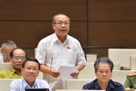 Đại biểu Quốc hội: Cán bộ có biệt phủ, xe sang từ đất và lụi tàn cũng từ đất