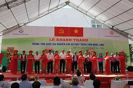 Công nhận sâm Ngọc Linh là quốc bảo của Việt Nam