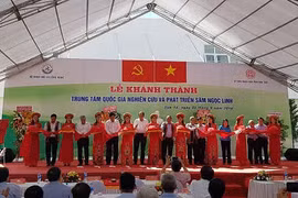 Công nhận sâm Ngọc Linh là quốc bảo của Việt Nam