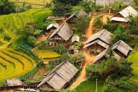 Sơn La sáp nhập 172 bản, tiểu khu, tổ dân phố