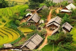 Sơn La sáp nhập 172 bản, tiểu khu, tổ dân phố