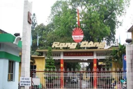 Bóng đèn Phích nước Rạng Đông "gặp may" sau hỏa hoạn?