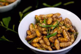 Nhộng tằm tốt cho trẻ nhỏ, người cao tuổi