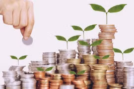 Nhiều doanh nghiệp đang chốt quyền nhận cổ tức tỷ lệ "khủng"   