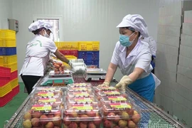 Chưa từng có: 4,6 triệu người truy cập, ngày chốt 37.000 đơn vải thiều