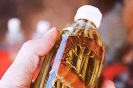 Tự chế cao rết chữa mụn nhọt