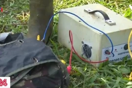 Đất nông nghiệp sẽ biến thành đất hoang vì nạn bắt giun