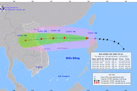 Tin bão khẩn cấp số 8