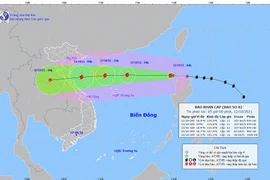 Tin bão khẩn cấp số 8