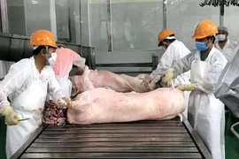 Bổ sung nửa triệu tấn thực phẩm, giá lợn vẫn đắt đỏ nhất lịch sử