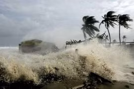 Ứng phó bão số 8: 7 tỉnh cấm biển, lên kế hoạch sơ tán hơn 65.000 hộ dân