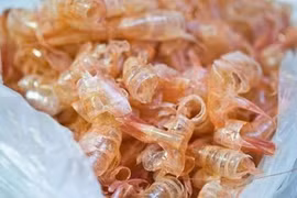 Nhật đầu tư nhà máy chế biến vỏ tôm tại Cần Thơ