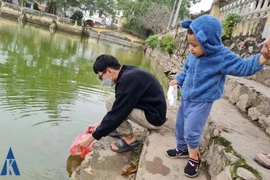 Clip Thú vị khoảnh khắc người dân "chào" cá khi phóng sinh