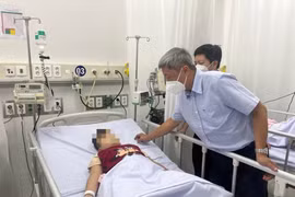 Lập phác đồ riêng điều trị sốt xuất huyết cho thai phụ