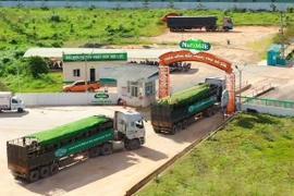 Trang trại bò sữa NutiMilk.