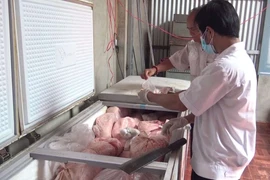 Hàng chục tấn thịt nhiễm dịch tả lợn châu Phi được làm giò chả