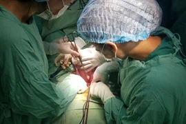 Rau cài răng lược cần theo dõi sát