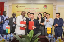 T&T Group thắng thầu thu mua điều thô tại Tanzania: Khai phá tiềm năng to lớn từ thị trường châu Phi