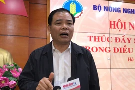 Chính phủ liên tục thúc giục nhưng giá thịt lợn vẫn cao