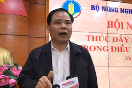 Chính phủ liên tục thúc giục nhưng giá thịt lợn vẫn cao