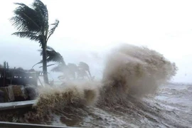 Bão xuất hiện nhiều vào mùa hè và mùa thu