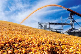 Thương vụ 115 triệu USD của T&T Group: Điểm sáng trên thị trường thức ăn chăn nuôi thời dịch Covid-19